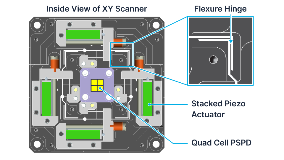 Park FX40, атомно-силовой микроскоп, AFM, малые образцы, True Non-contact, автоматическая замена зонда, Park Systems, наноизмерения, ортогональное сканирование, SmartScan, низкий шум, тепловой дрейф